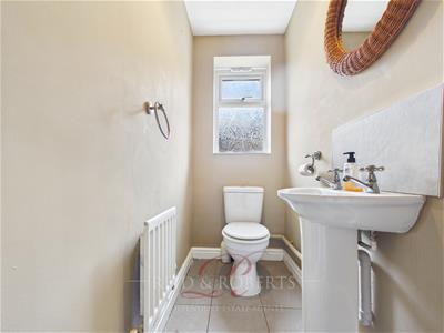 Picture 19